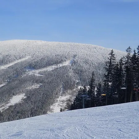 Svetluska Loucna nad Desnou