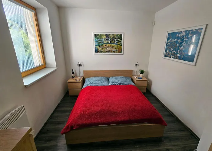 Apartman Svetluska Loučná nad Desnou